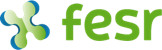 logo_FESR